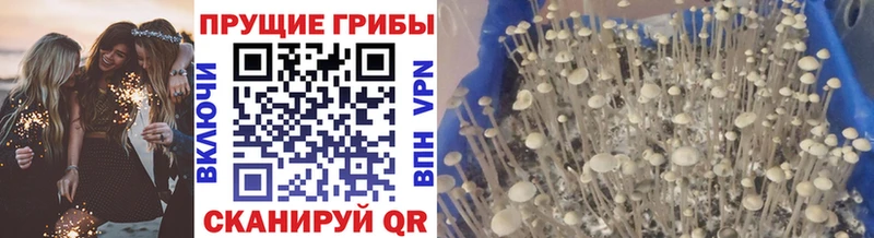 ОМГ ОМГ сайт  Луховицы  это Telegram  Псилоцибиновые грибы Cubensis 