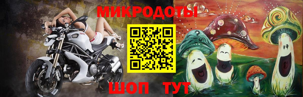 Псилоцибиновые грибы прущие грибы Луховицы